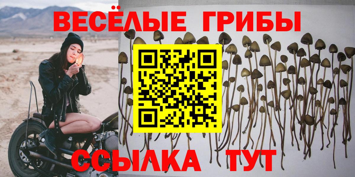 Канабис  Карталы  Alpha-PVP СОЛЬ кристаллы  Меф   Вход с VPN  Гашиш 