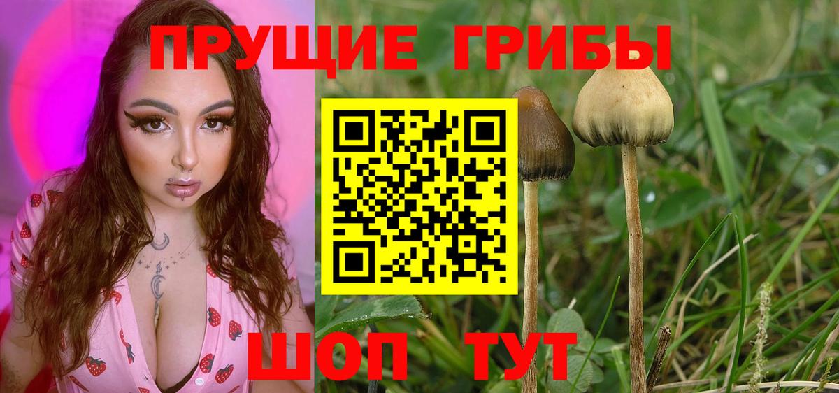 Псилоцибиновые грибы ЛСД Карталы