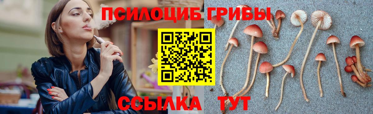 Псилоцибиновые грибы прущие грибы  Вход с VPN  Карталы  Галлюциногенные грибы ЛСД 